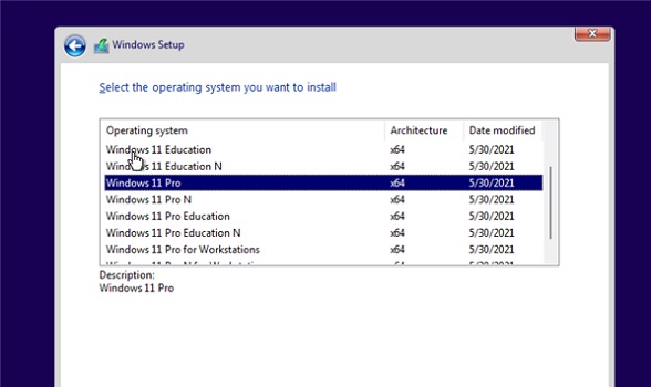 Windows11 X64 Pro 21H2