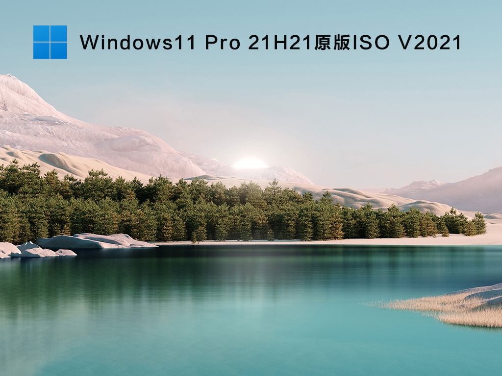 Windows11 X64 Pro 21H2(10.0.22000.51)ԭISO V2021