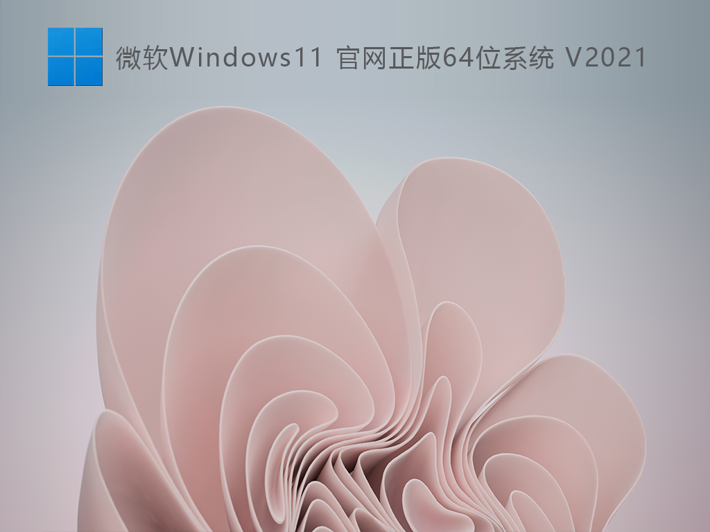 ΢Windows1164λϵͳ V2021