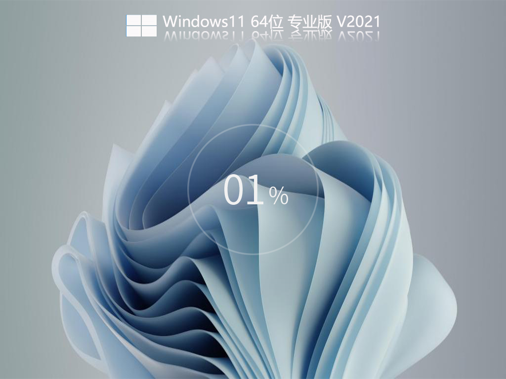 ȫWindows11 22000.120 רҵ V2021.08