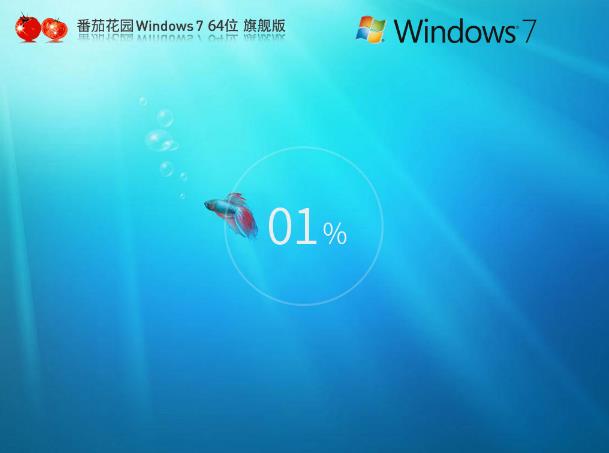 ѻ԰win7콢װ